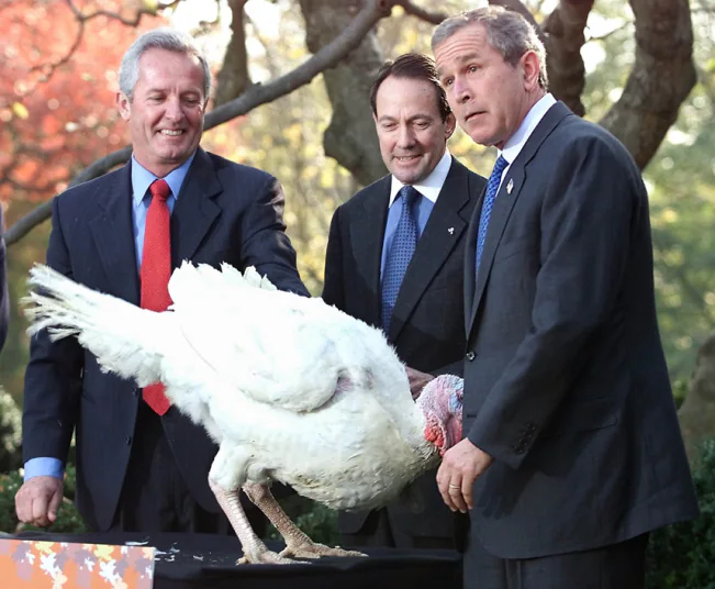 Turkeys and Presidential Pardons