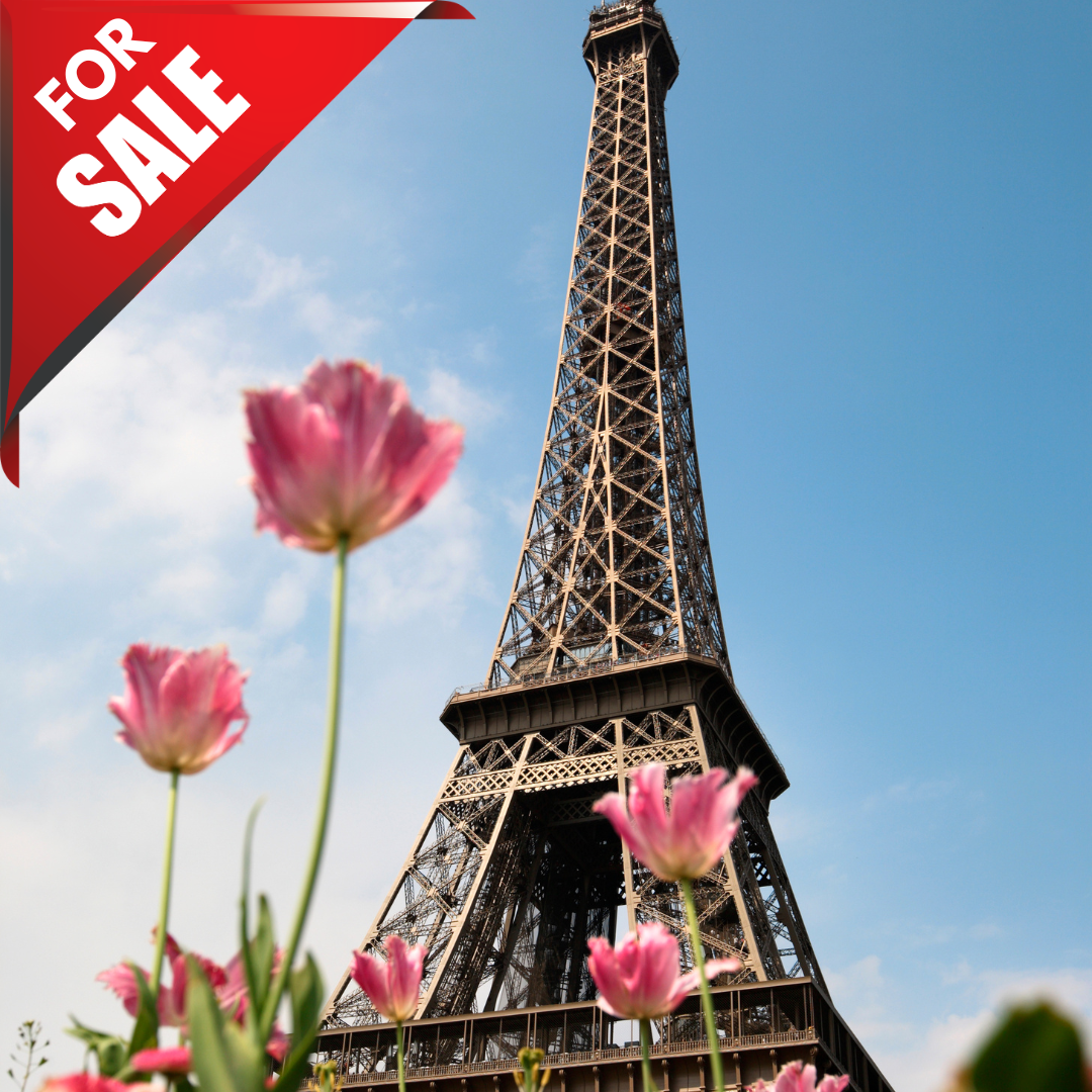 The Man Who Sold the Eiffel Tower. Eiffel Tower for sale.