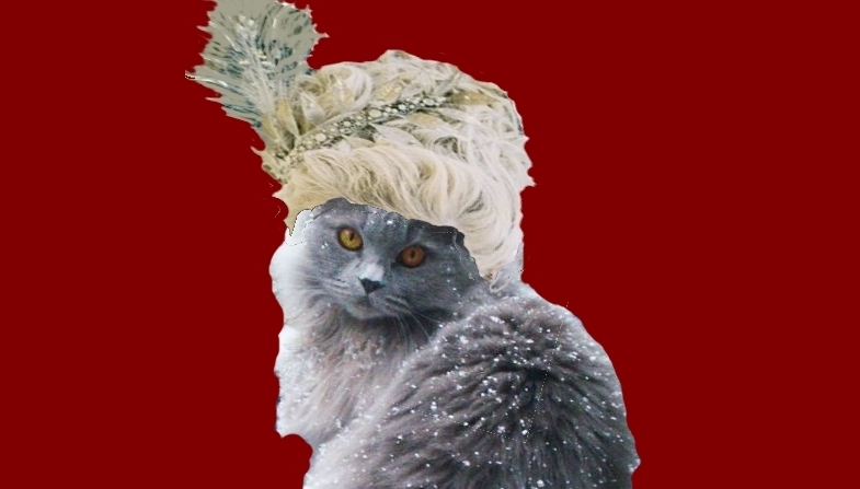 Marie Antoinette’s Cats and an American Rescue Attempt