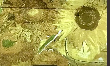 Van Gogh in Les Baux de Provence: What Would Vincent Say?