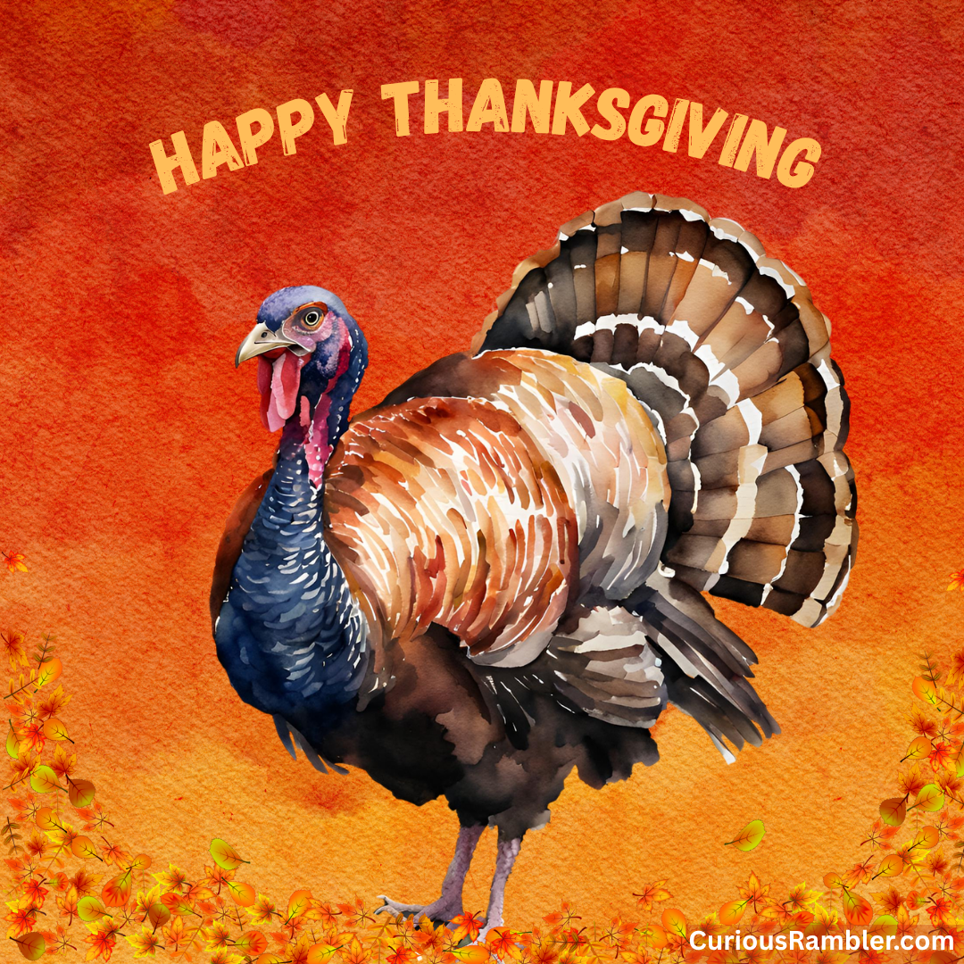 Thanksgiving and Turkeys: Can You Answer These Five Questions?