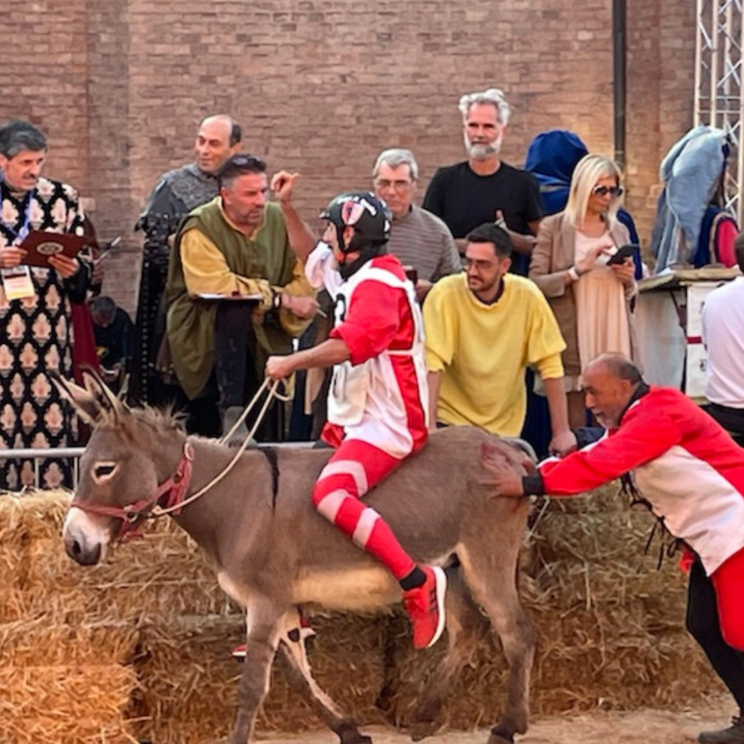 A Donkey Race in Italy: What’s Not to Love?