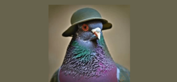 Pigeons: Love Them or Hate Them, You Have to Respect Them