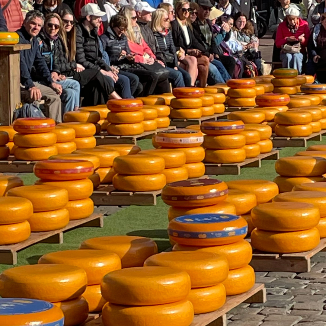 Stacks of Gouda cheese in the market square.