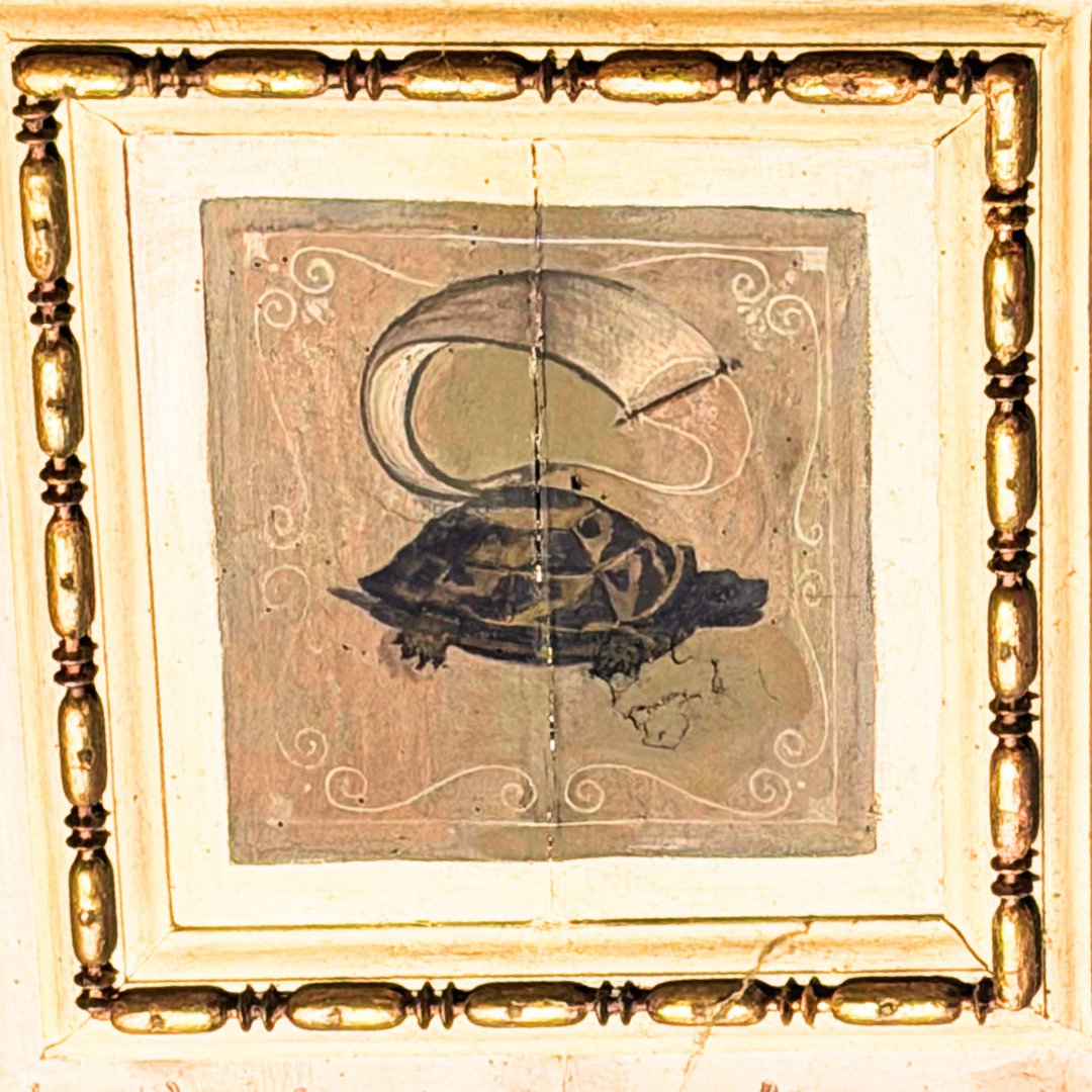 Photo of tortoise with a sail from Palazzio Vecchio.